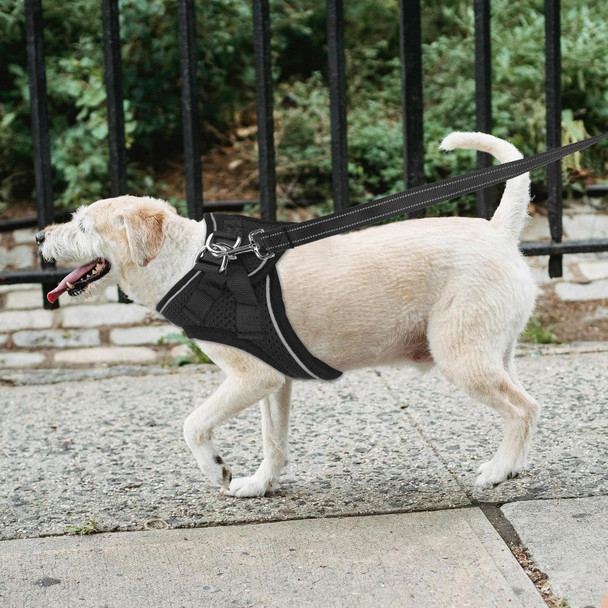 Double-Sided Reflective Nylon Dog Leash, 4 Ft/5 Ft/6 Ft, Soft Padded Handle Heavy Duty Dogs Leashes With D Ring For Medium And Large Dogs Walking And Training,(Orange, 6Ft)