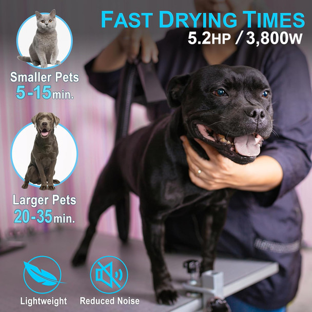 Dog Hair Dryer - d Model 5.2Hp 3800W 5 Attachment High-Velocity Pet Grooming Dryer W/Adjustable Speed & Temperature Small, Medium & Large Dog Blow Dryer - Black