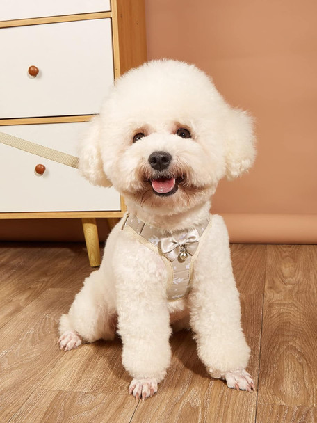 Qwinee Tie-Dye Dog Harness And Leash Set Bow Decor Puppy Cat Harness With Leash Soft No-Pull No Choke Mesh Harness Dress Set For Small Medium Dogs Cats Kitten Pink L