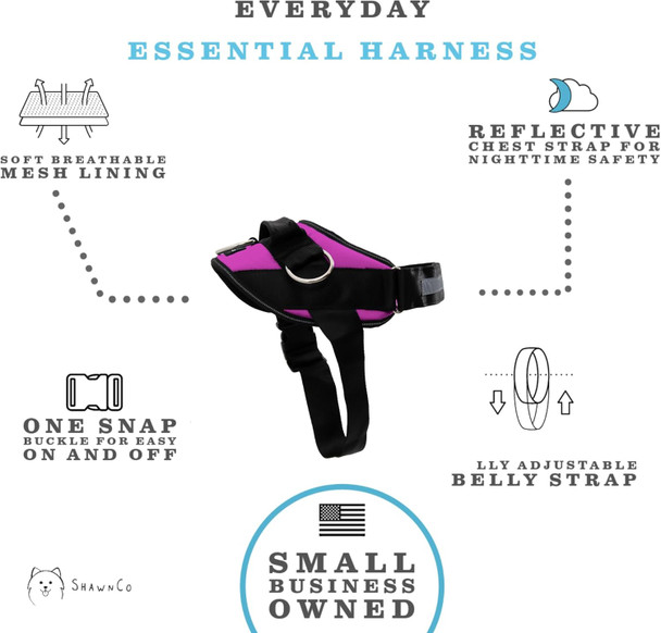 Shawnco Essential Harness, Leash & Collar Set (Orchid, Xs)