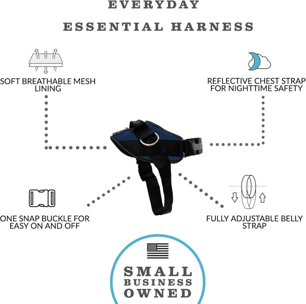 Shawnco Essential Harness, Leash & Collar Set (Pacific Blue, L) Shawnco Essential Harness, Leash & Collar Set (Pacific Blue, L)