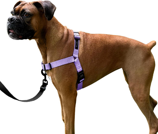 Shawnco Dream Walk No-Pull Dog Harness- Adjustable, Comfortable, Easy To Use Pet Halter To Help Stop Pulling For Small, Medium And Large Dogs (Icy Lilac, M)