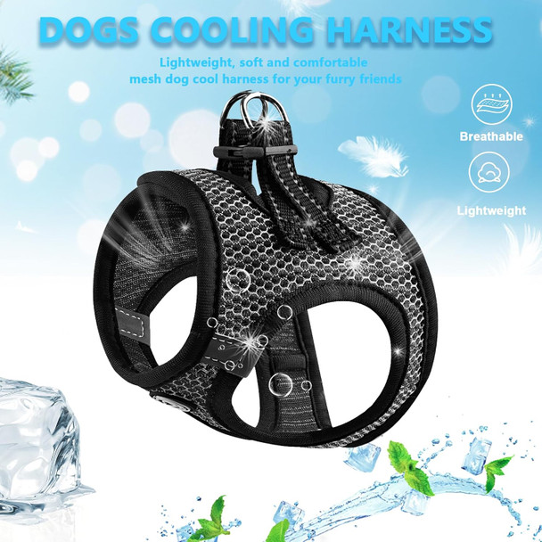 Cat Harness - Xs Small Harness - Puppy Harness - Dog Harness For Small Dogs - Extra Dog Harness - Tiny Dog Harness - Chihuahua Harness - Pet Harness (Black, X-Small)