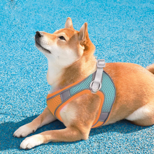 Harness And Leash For Dogs And Cats, Dual Color Dog Harness With Reflective Bands, Soft And Breathable Cat Harness (Orange, L)