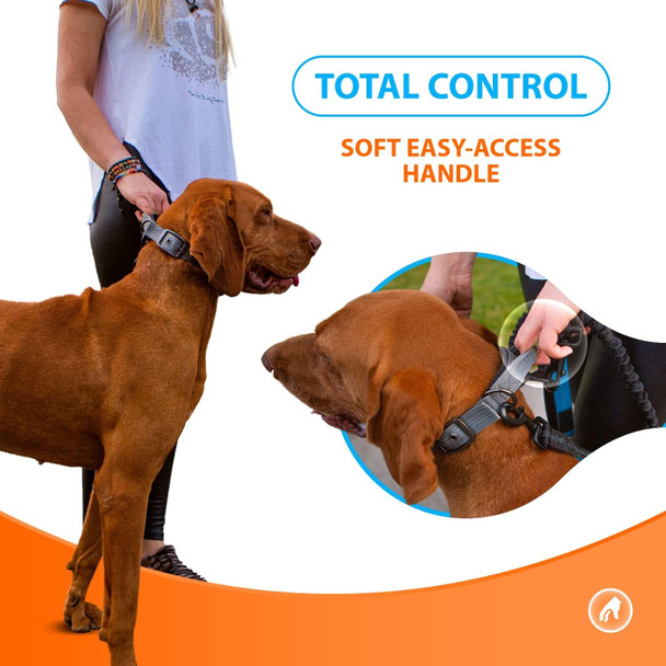 Sparklypets More dom No-Pull Front & Back Easy Clip Dog Walk Harness For Medium & Large Breeds With Poop Bag Holder – Dog Halter For All Body Types (Gray, Range 1)