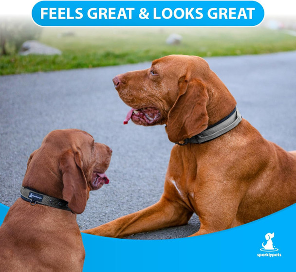 Sparklypets Heavy Duty Dog Collar With Handle For Medium And Large Dogs – Professional Collar With Reflective Stitches, Soft Handle & Nickel-Plated Buckle (Large (1822), Gray)