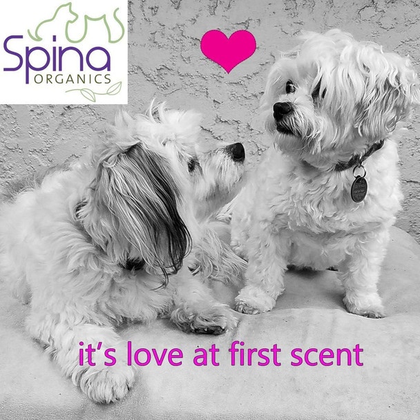 Pet Deodorizing Fur Refresher Spray- All-Natural Rejuvenator Mist, With Botanicals And Essential Oils Featuring A Lavender Scent Made In The Usa 9Oz Pet Deodorizing Fur Refresher Spray- All-Natural Rejuvenator Mist, With Botanicals And Essential Oils Featuring A Lavender Scent Made In The Usa 9Oz