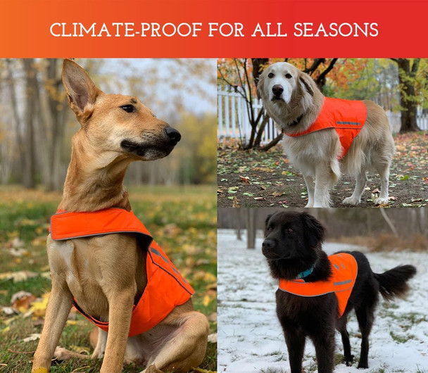 Spot The Dog Reflective Dog Vest - Adjustable Dog Safety Vest, High Visibility Fluorescent Apparel For Dog Walking, Dog Hiking And Camping, Hunting Dog, On Or Off Leash (Blaze Orange, M)