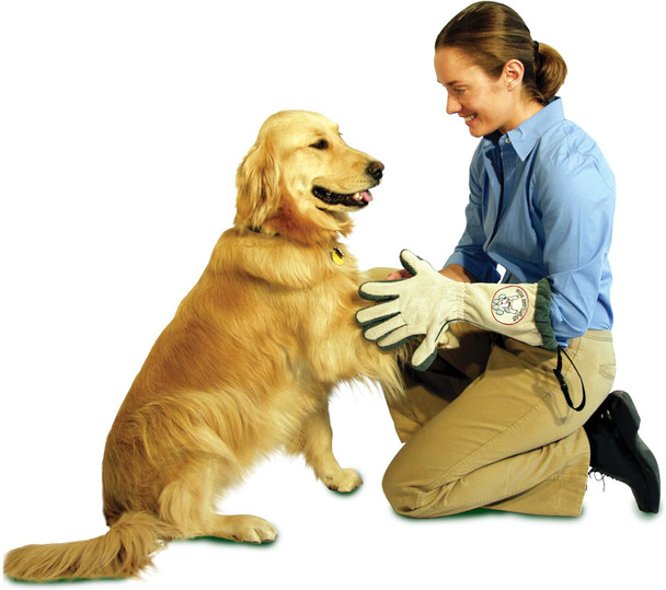 Pet Grooming Gloves For Dogs With Loop - Made Of Microfiber Fabric - Efficient Dog Paw Cleaner For Muddy Paws - Dog Paw Washer Protects Floors, Furniture, And Vehicles From Paw Prints