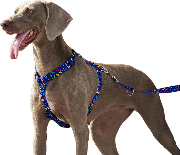 No Pull Dog Harness - High Resistance Nylon Webbing, dom Harness For Dogs With Neck Buckle, 5 Adjustment Points Fits All Body Types, Easy Walking And Training (Starry Night, S)