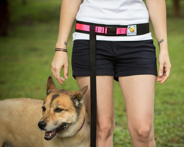Hands Dog Leash Belt - Medium-Large - Neon Orange