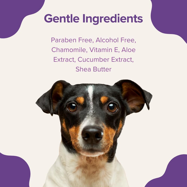 Stink Plant Based Pet Wipes - Biodegradable - Dirt And Odor Control - Grooming Wipes For Easy Cleaning On Paws Body And Bum - Lavender Scented - 8 X 8 - 400 Count