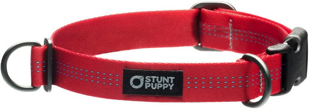Everyday Dog Collar, Red