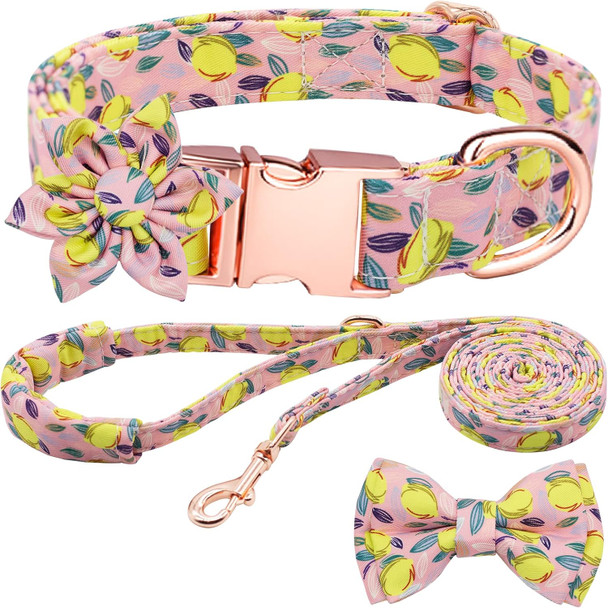 Girl Dog Collar And Leash Sets With Bow Tie, Dog Collar With Detachable Flower With Dog Tag Strong Gold Buckle For Small Medium Large Dogs