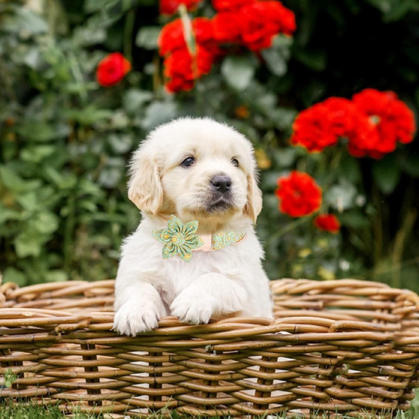 Girl Dog Collar And Leash Sets With Bow Tie, Dog Collar With Detachable Flower With Dog Tag Strong Gold Buckle For Small Medium Large Dogs