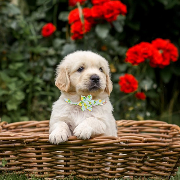 Girl Dog Collar And Leash Sets With Bow Tie, Dog Collar With Detachable Flower With Dog Tag Strong Gold Buckle For Small Medium Large Dogs