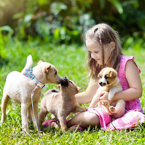 Girl Dog Collar And Leash Sets With Bow Tie, Dog Collar With Detachable Flower With Dog Tag Strong Gold Buckle For Small Medium Large Dogs