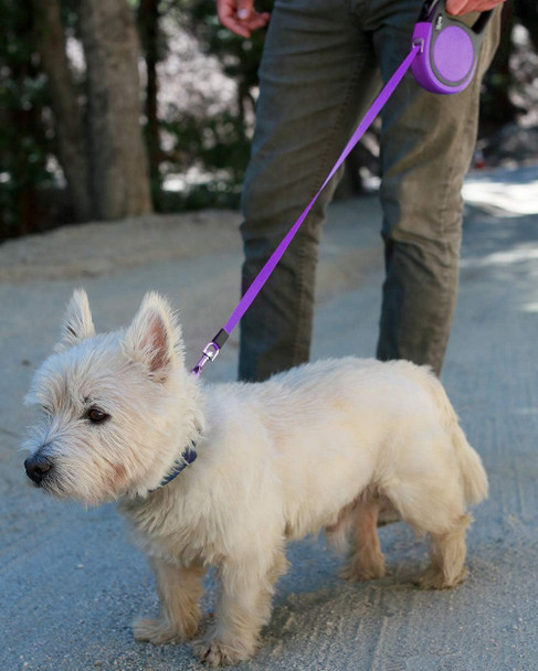 Taglory Retractable Dog Leash, 16Ft No Tangle Dog Leash Retractable For Puppy Small Medium Dogs Up To 44 Lbs, One-Handed Brake, Pause, Lock,Purple