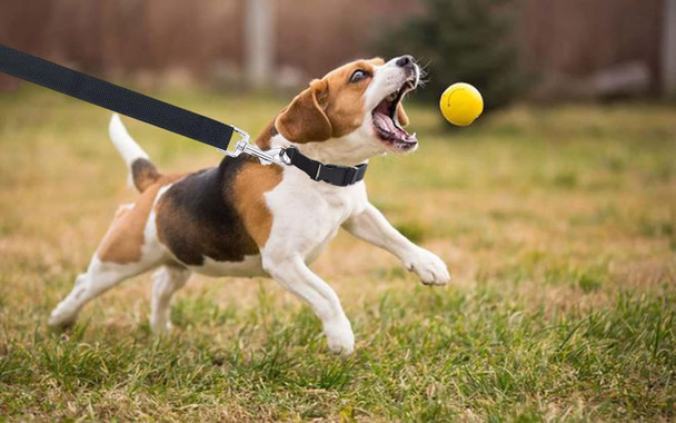 Taida Dog Leash With 1X 16-23 Dog Collar, 6Ft Nylon Dog Leash Dog Collar For Small Medium Dogs