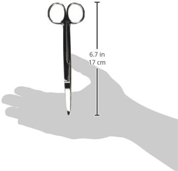 Surgical Scissors S/B 6.5-Inch Curved Stainless Steel Curved Beveled Edge