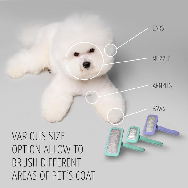Classic Brush Premium Brush For Dogs And Cats With A Soft, Flexible Cushion And Non-Slip Grip. Included: 1X Grooming Brush In Mint, Dimensions: Rectangular, 10.5 X 6.5 Cm