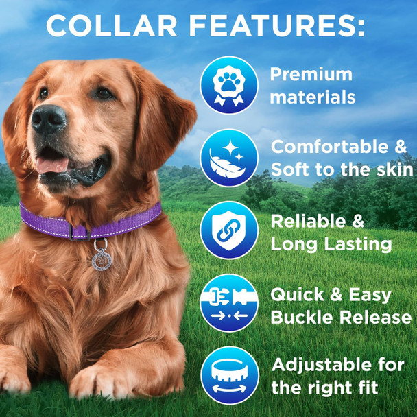 Teceum Reflective Pet Collar – Purple – M – Extra Soft Padding – Basic Nylon Dog Collar – Quick Release Buckle – Fits Small, Medium And Large Dogs, Puppies, Cats – Esa & Service Dog Options