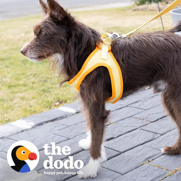 The Dodo Yellow Dog Harness, Size Small Easy Step-In Harness For Dogs Breathable Mesh Fabric Snap-Together, Pinch Release Buckle, Ring For Leash Attachment Everyday Pet Apparel