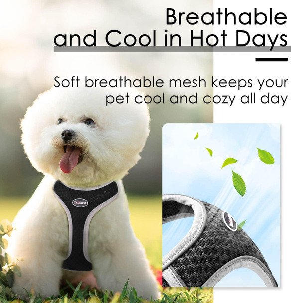 Thinkpet Harness And Leash Set Reflective Breathable Soft Air Mesh No Pull Puppy Choke Over Head Vest Ventilation Harness With Leash For Puppy Small Medium Dogs And Cats