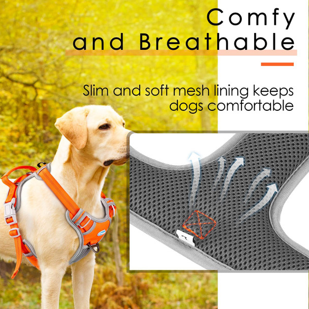 Thinkpet Reflective Breathable Soft Air Mesh No Pull Puppy Choke Over Head Vest Harness For Puppy Small Medium Dogs And Cats Teal Small