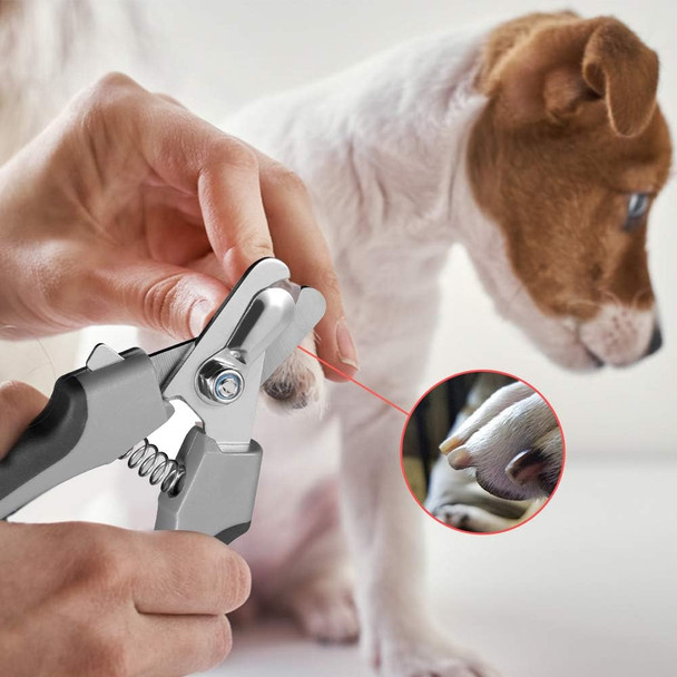 Dog Nail Clippers,Dog Nail Trimmers For Large Breed Dog With Quick Sensor,Safari Professional Cat Nail Clipper With Safety Guard And Nail File.