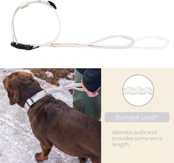 Tug Reflective And Soft Padded Dog Collar (Medium)
