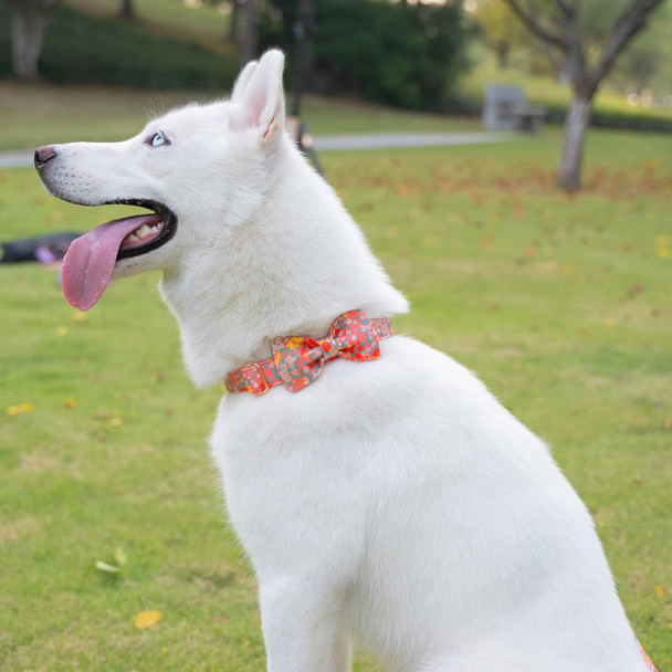 Super Cute Dog Leash With Bow Tie Cake - Durable, Adjustable, And Stylish Pet Leash For Walks S Super Cute Dog Leash With Bow Tie Cake - Durable, Adjustable, And Stylish Pet Leash For Walks S