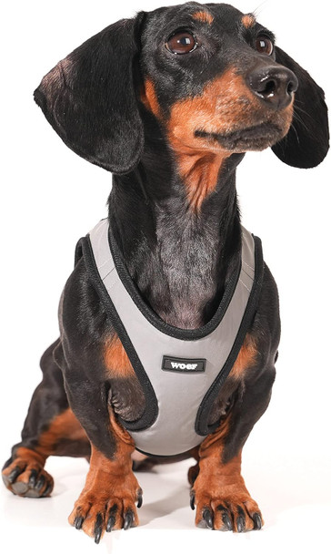 Woef Light Reflective No Charge Needed Dog Harness Light Reflective No Pull Pet Harness Adjustable Padded Soft Vest For Small Light Up Dogs(Xs,S,M) (M)