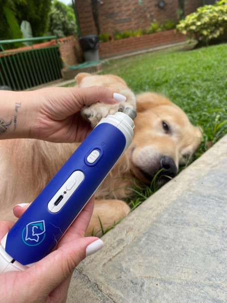 Hamily Dog Nail Grinder With Clipper,2In1,Dual Led Light,Ultra Quiet,Usb Charge,3 Speeds, Safe And Comfortable, d