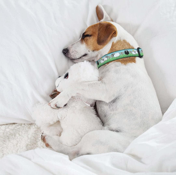 Up Country Counting Sheep Dog Collar, 5/8” Width, Small (9 To 15 Inches) 5/8 Inch Narrow Width Up Country Counting Sheep Dog Collar, 5/8” Width, Small (9 To 15 Inches) 5/8 Inch Narrow Width