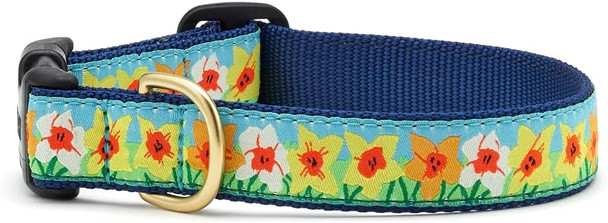 Up Country Daffodil Dog Collar, X-Small (6 To 12 Inches) 5/8 Inch Narrow Width Up Country Daffodil Dog Collar, X-Small (6 To 12 Inches) 5/8 Inch Narrow Width
