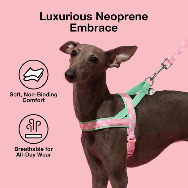 Vetreska No Pull Dog Harness And Leash Set For Small Medium Large Dogs, Adjustable Soft Padded, Easy Control, Easy Walk And Anti-Twist Pet Lead Combo (Pink & Green, M) Vetreska No Pull Dog Harness And Leash Set For Small Medium Large Dogs, Adjustable Soft Padded, Easy Control, Easy Walk And Anti-Twist Pet Lead Combo (Pink & Green, M)
