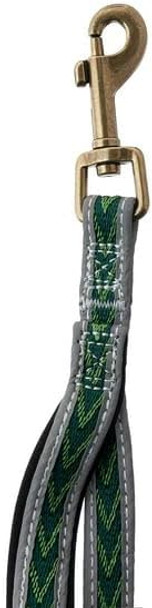 Vibrant Life Aztec Reflective Leash For Dogs, Green, Medium