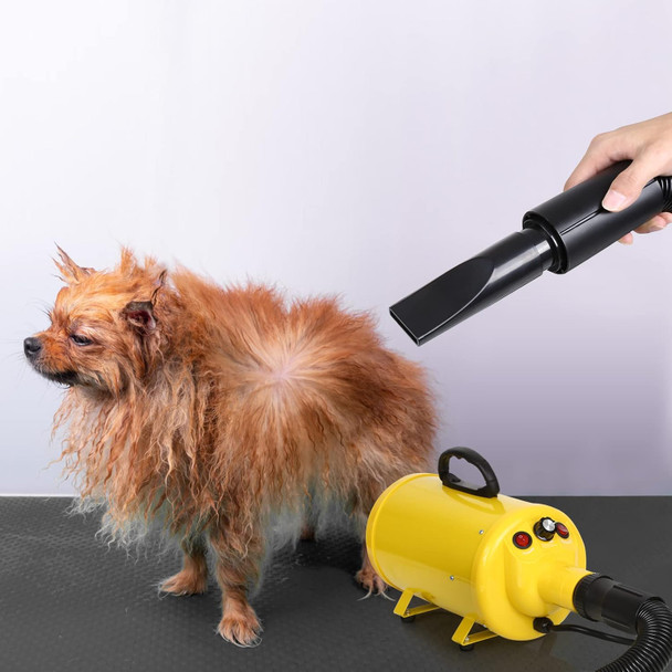 Dog Hair Dryer, 3.8Hp 2800W Pet Grooming Blower For Large Dogs Hair Force Blaster With Heat, Stepless Speed Adjustable Strong Power Wind, Yellow