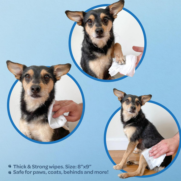 Best Pet Supplies Coconut-Scented Moisturizing Pet Wipes For Dogs & Cats – Extra Soft & Strong Grooming Wipes With Gentle Plant-Derived Formula, Model Number: Ww-Co-100 Count (Pack Of 1)
