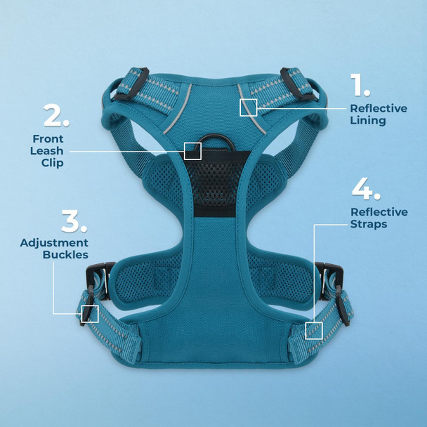 Voyager Dog Harness Dual Leash Attachment No-Pull Control Adjustable Soft But Strong Pet Harness For Medium And Large Dogs With 3M Reflective Technology - Harness Leash Set (Turquoise), Xs