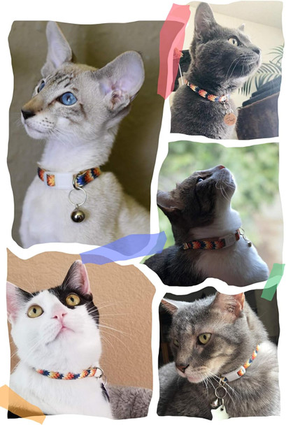 Pet Supplies, (Aztec Tribal) Cat Collar, Dog Collar, Cat Leash, Dog Leash, Cat Harness, Dog Harness, Small Dog Collar, Medium Dog Collar, Large Dog Collar (Pet Collar, Xxs)