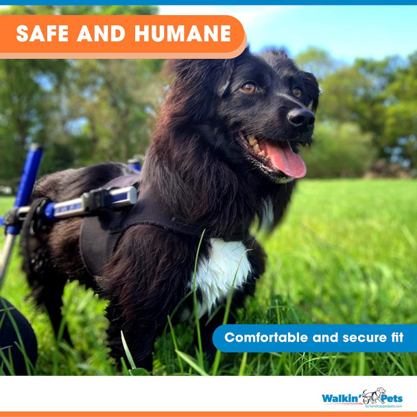 Front Dog Vest Harness No Pull Harness Designed For Small Dogs With Broad Chests Compatible With Dog Wheelchair