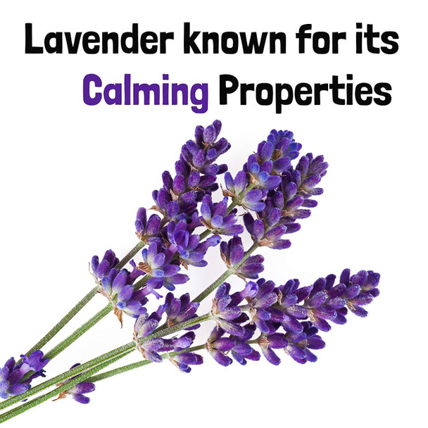 Washbar Natural Dog Deodorizing Spray - Deodorant And Calming Spray, Lightly Scented, Primrose & Lavender Spray, Dog Spray Deodorizer Perfume, All Natural, Daily Use, Large 8.45 Fl. Oz