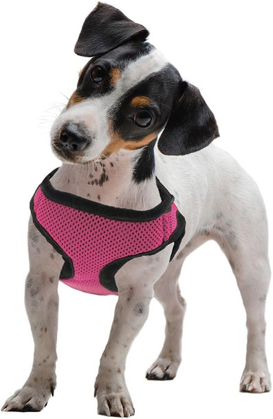 Soft'N'Safe Adjustable Dog Harness (Pink, Xs)