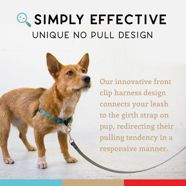 Wildebeest No Pull Dog Harness Comfortable Dog Training Harnesses Effective No Pull Harness Design Ideal Dog Harness For Medium Sized Dog 4-Point Adjustable(M - 2228 Inch Girth, Turquoise)