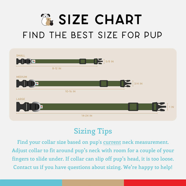 Wildebeest No Pull Dog Harness Comfortable Dog Training Harnesses Effective No Pull Harness Design Ideal Dog Harness For Medium Sized Dog 4-Point Adjustable(M - 2228 Inch Girth, Turquoise)
