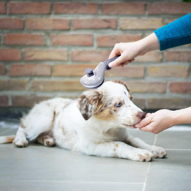 Full Diamonds Self Cleaning Slicker Brush For Dogs & Cats, Skin Friendly Grooming Cat Brush, Dog Brush For Shedding, Deshedding Brush, Hair Brush Rhinstones Brush For Haired Pets,Grey