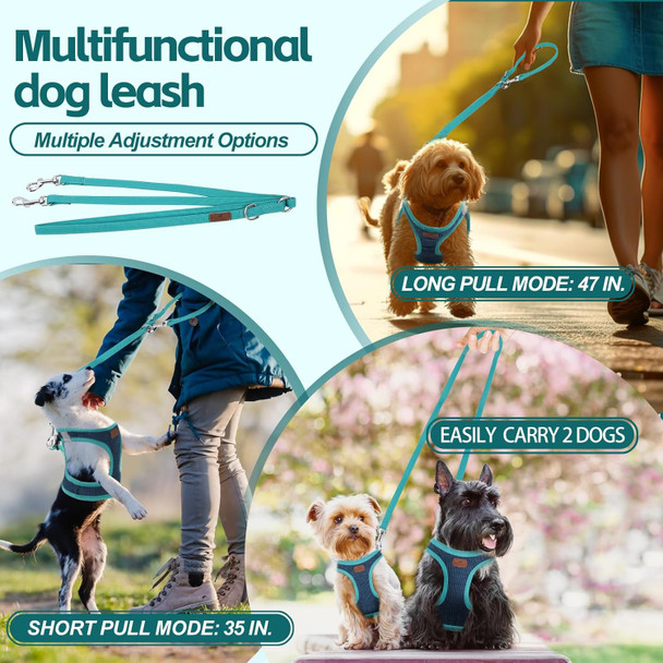 Dog Harness With Multifunction Dog Leash,No Pull Reflective Step-In Harness For Soft Adjustable No Choke Escape Proof,Easy Walk Dog Harness For Small Dogs (Blue&Green, S) Dog Harness With Multifunction Dog Leash,No Pull Reflective Step-In Harness For Soft Adjustable No Choke Escape Proof,Easy Walk Dog Harness For Small Dogs (Blue&Green, S)