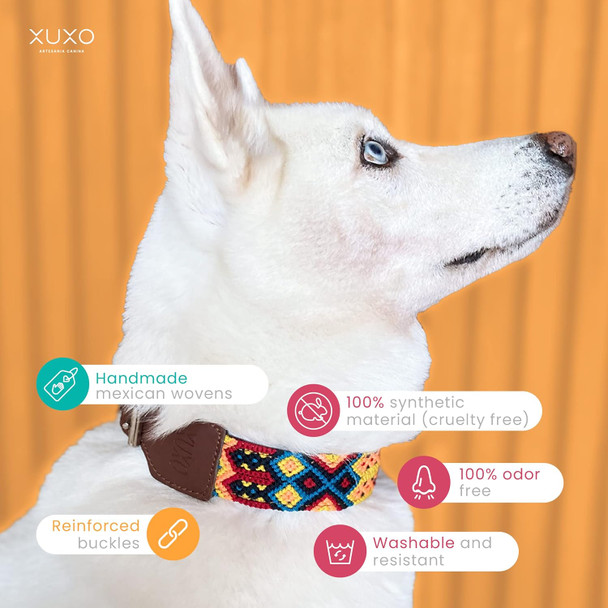 Xuxo Dog Collar, Vegan Leather, Handmade, Water Resistant, Durable, Bacalar, Xs